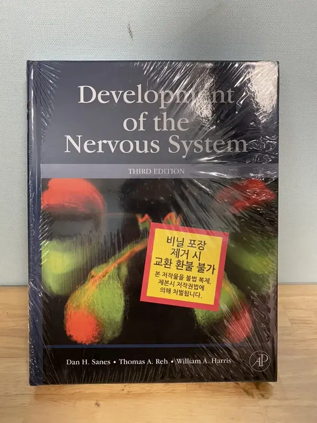 development of the nervous system(3rd)