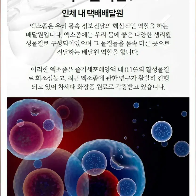 mts가능한 화장품 프리드라 엑소좀앰플 줄기세포