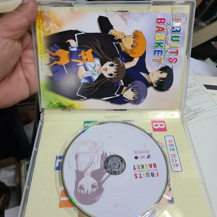 DVD 후르츠 바스켓 박스세트 (9 disc)우리말녹음