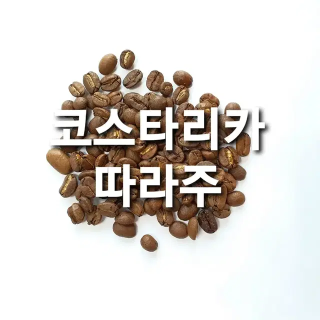 코스타리카따라주,케냐AA,에티오피아예가체프,과테말라우에우에 원두 커피