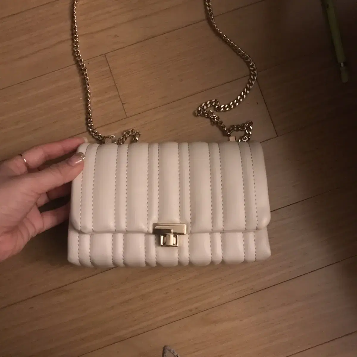 Zara bag