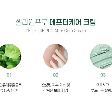 셀라인프로_에프터케어크림/100g/반영구화장시술이후사용크림.로션