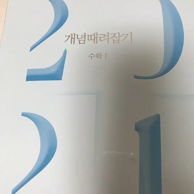 정승제 2021 개때잡 혼때잡 수1