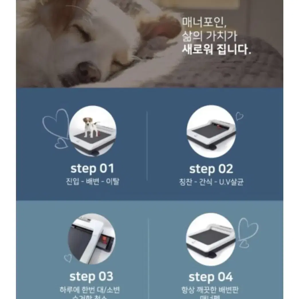 애견 자동배변판