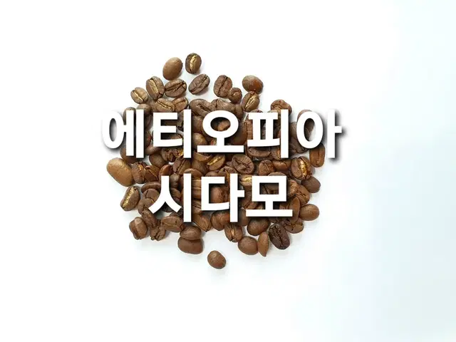 에티오피아시다모,콜롬비아수프리모,브라질세하도,로부스타 원두 커피