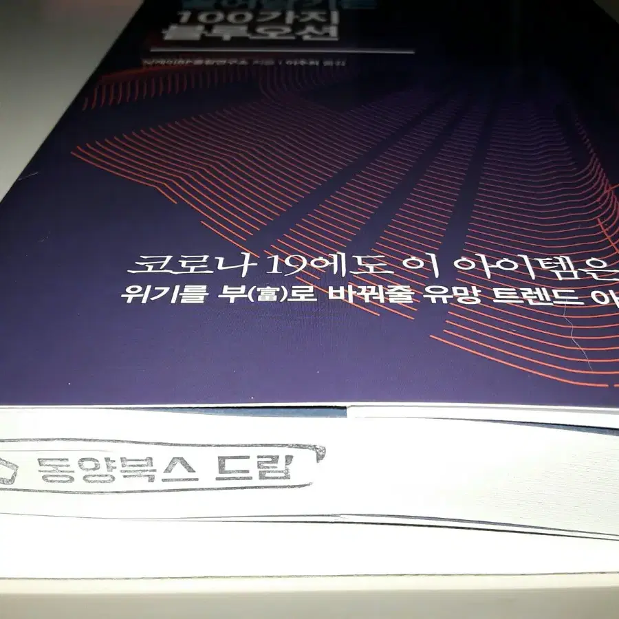 [도서] 앞으로 10년 부를 끌어당기는 100가지 블루오션