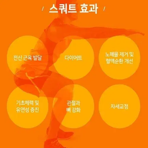 [무료배송] 홈트레이닝 스쿼트기구 푸쉬업바 헬스기구