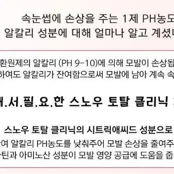 스노우 래쉬 토탈 클리닉 속눈썹 펌 3제 속눈썹 케라틴 영양 클리닉 케어