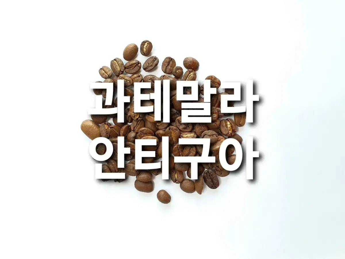 안티구아,예가체프,따라주,세하도,시다모,로부스타 원두커피