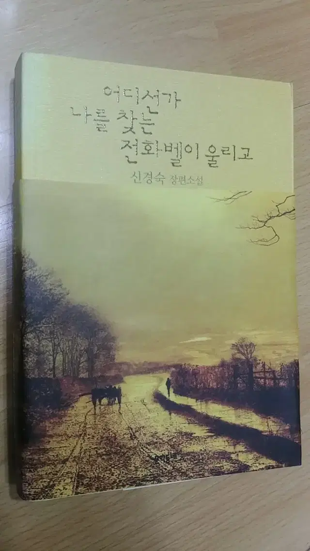 신경숙ㅡ어디선가 나를  찾는 전화벨이 울리고