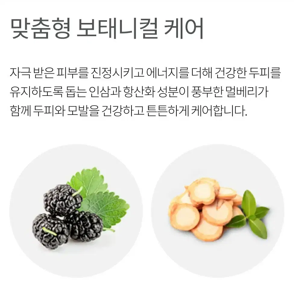 암웨이 탈모 샴푸 새티니크 안티-헤어폴 샴푸 280ml