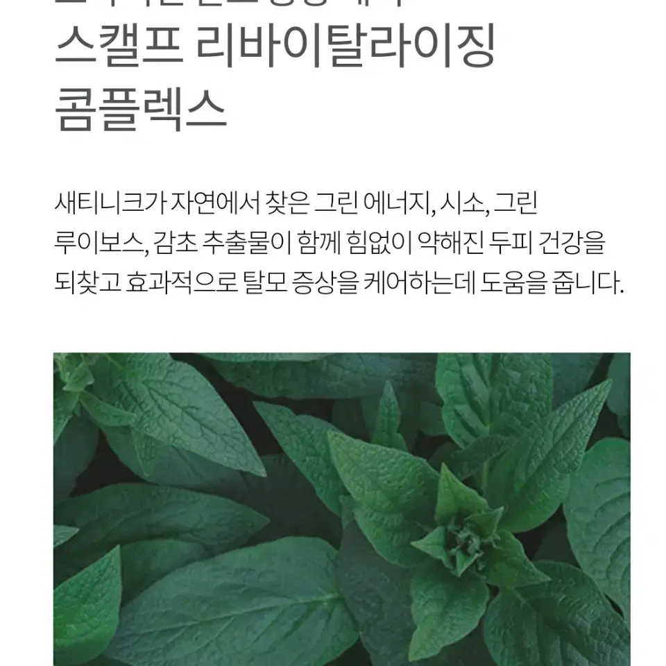 암웨이 탈모 샴푸 새티니크 안티-헤어폴 샴푸 280ml