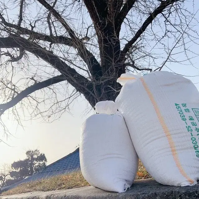 [ 삼광쌀 ] 햅쌀 산지직송으로 보내드려요 [원산지:(충청남도 공주시)]