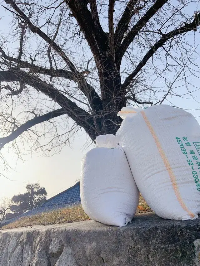 [ 삼광쌀 ] 햅쌀 산지직송으로 보내드려요 [원산지:(충청남도 공주시)]