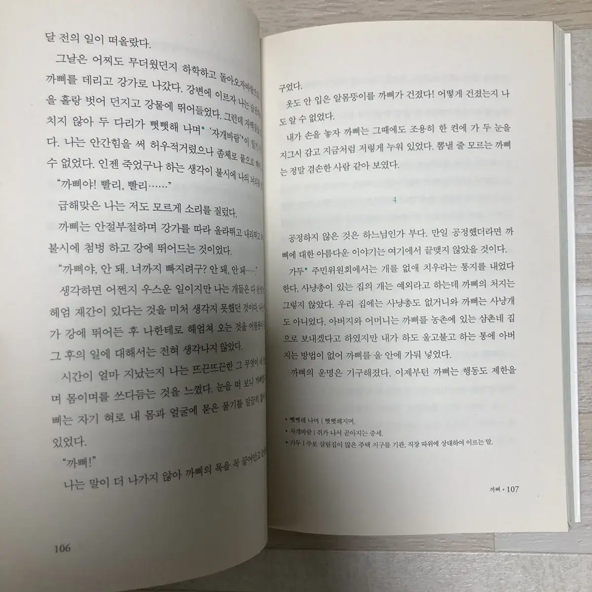 국어 시간에 소설 읽기 1