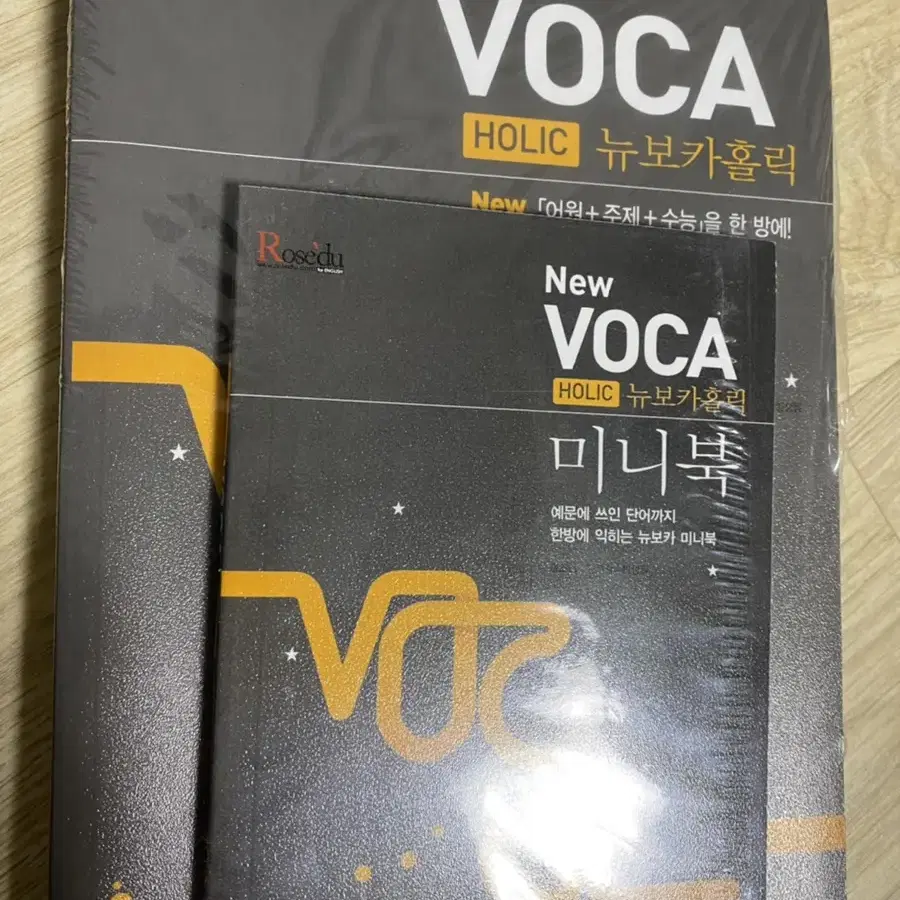 뉴보카홀릭 능률 VOCA