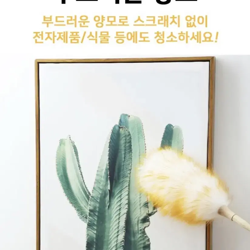 고급 천연 양모 먼지털이게 1+1