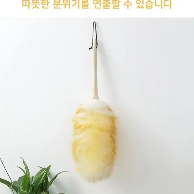 고급 천연 양모 먼지털이게 1+1