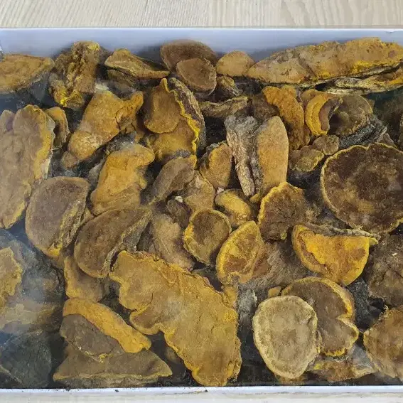 자연산 상황버섯 500g