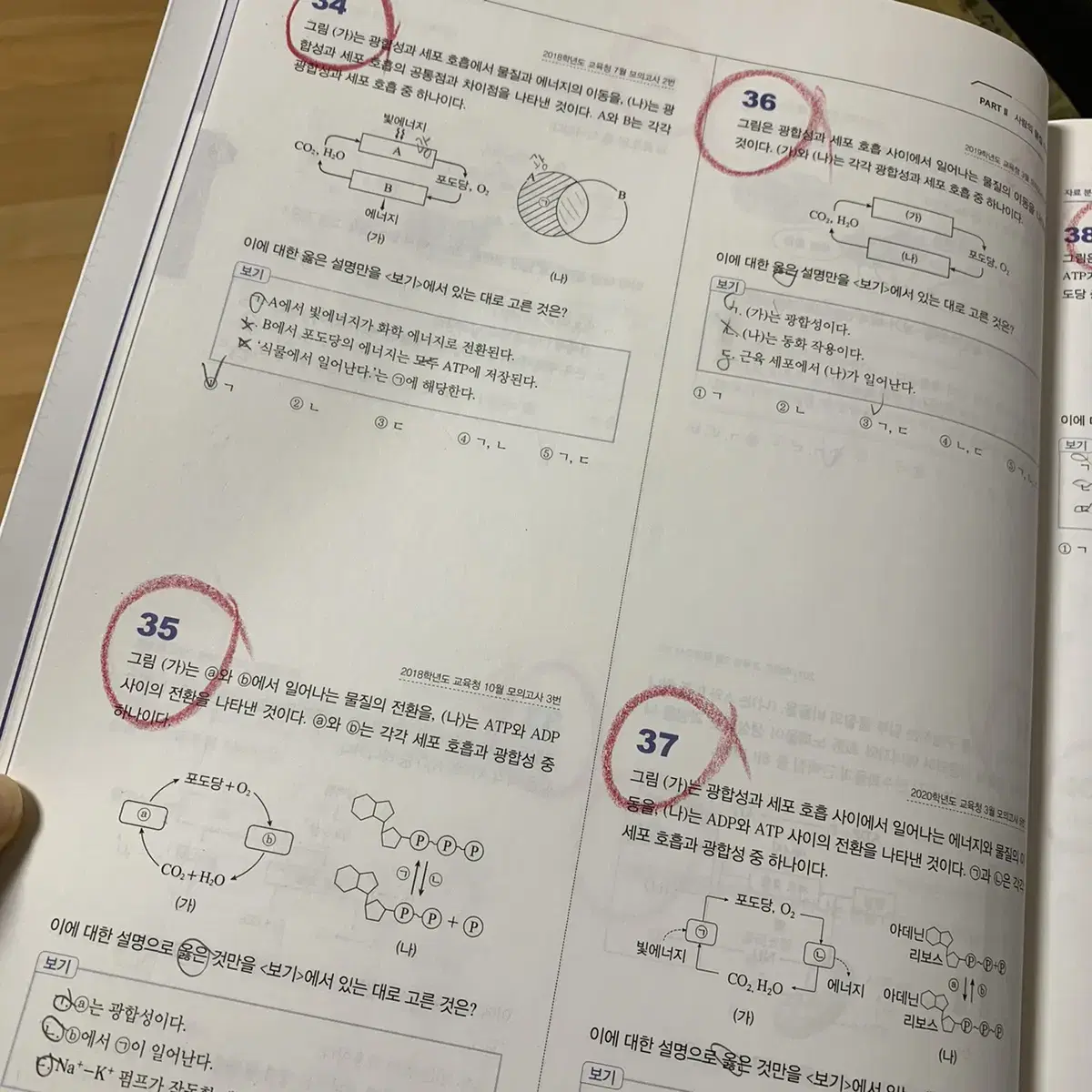 2021 한종철 자분기 시즌1 교육청기출편