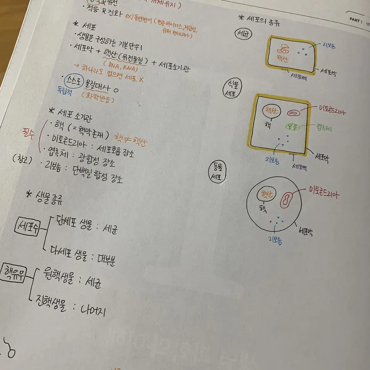 2021 한종철 자분기 시즌1 교육청기출편