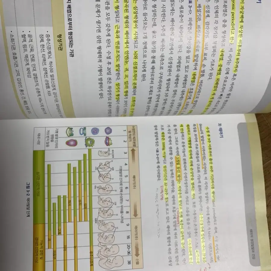 성장발달과 건강(수문사)