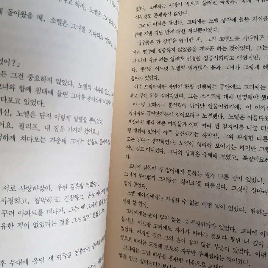 소설 시드니 샐던 1973 '깊은밤의 저편'