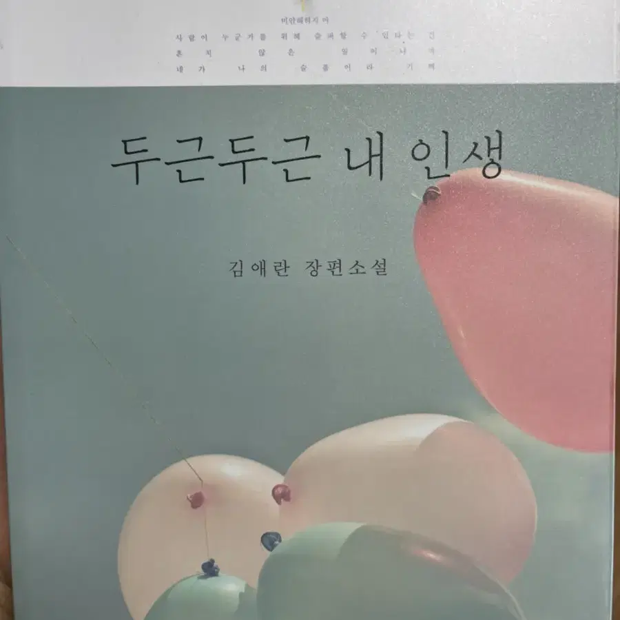 소설책 두근두근 내인생 김애란