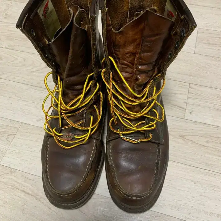 레드윙 redwing 100주년 한정판 1906 (usa 8)