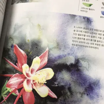 수산나의 아름다운 꽃그리기 | 브랜드 중고거래 플랫폼, 번개장터