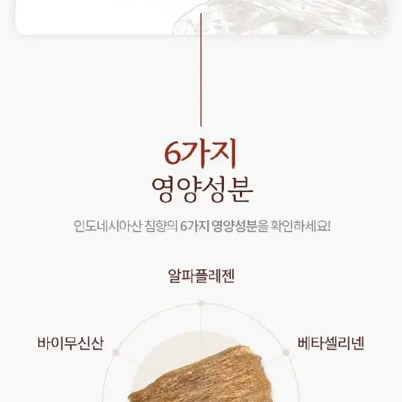 침향스틱 석류스틱 100포 대용량