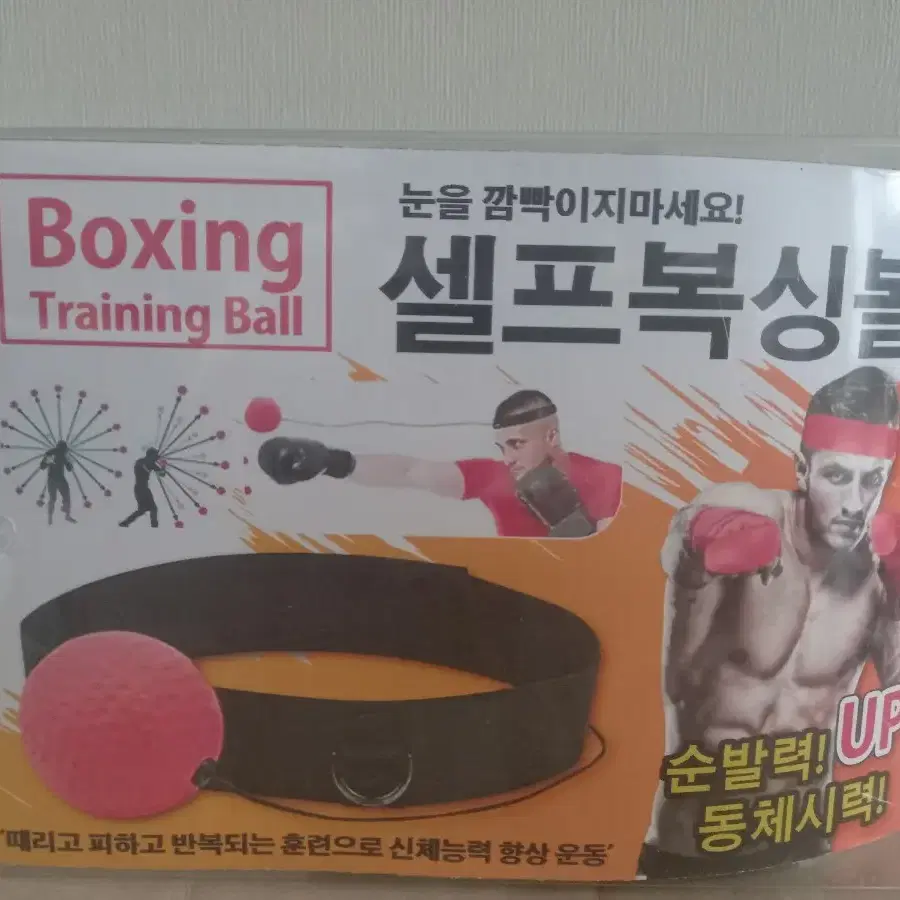 셀프복싱트레이딩 테니스복싱볼 미개봉
BOXING TRAINING BALL