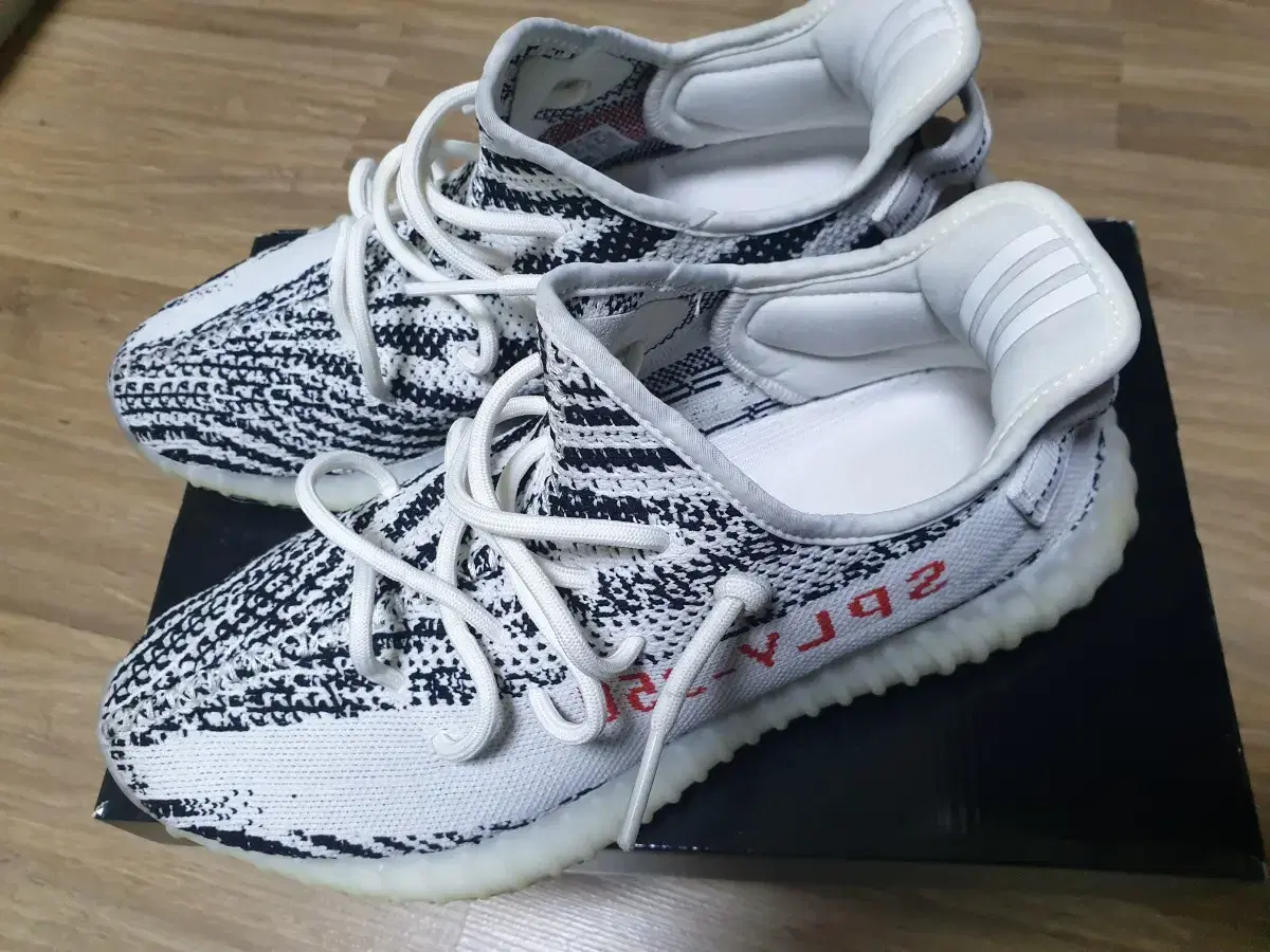 (280) E.Ji Boost Zebra