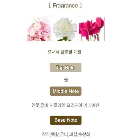 이세이미야케 로디세이 우먼 EDT 100ml 50ml 25ml