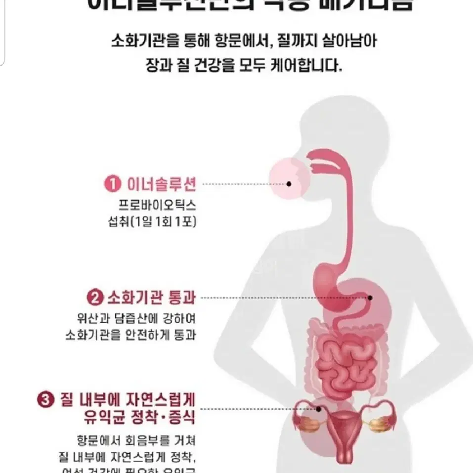 여성을 위한 유산균/여성질유산균 질건강과 장건강 동시케어