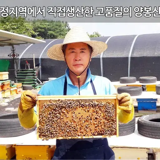 천연꿀 산지직송 1.0kg 밤꿀 야생화 2.3 / 아카시아꿀 2.5