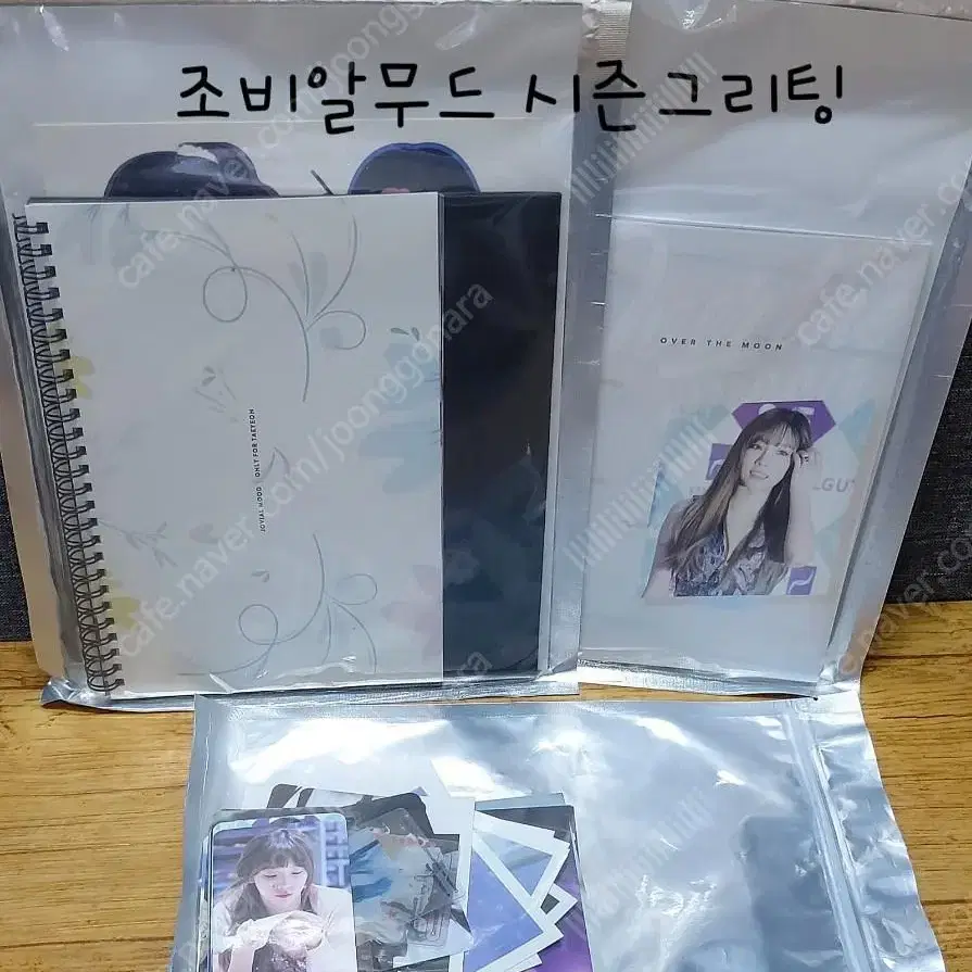 태연굿즈 팬페이지 포토북 DVD 시즌그리팅