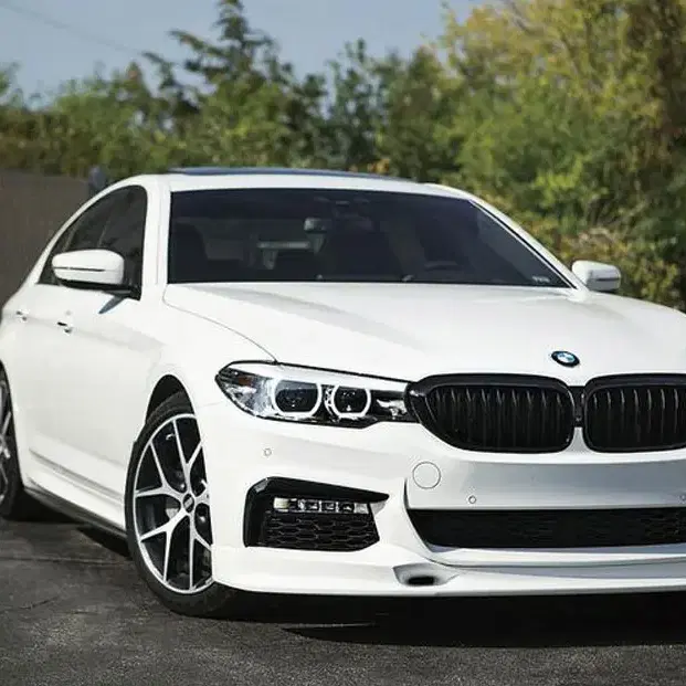 BMW 5시리즈 G30 M5 F90 블랙 카본 키드니 그릴