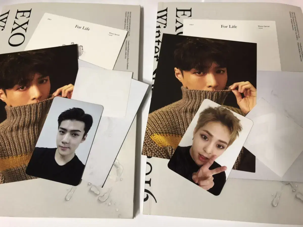 Exo's winter album Polar Life sehun minseok photocard