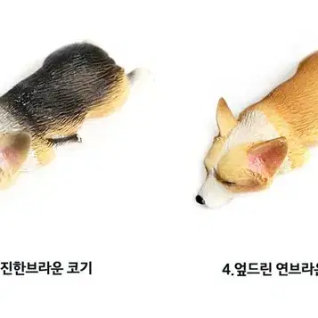 웰시코기 마그네틱 냉장고자석 현관인테리어