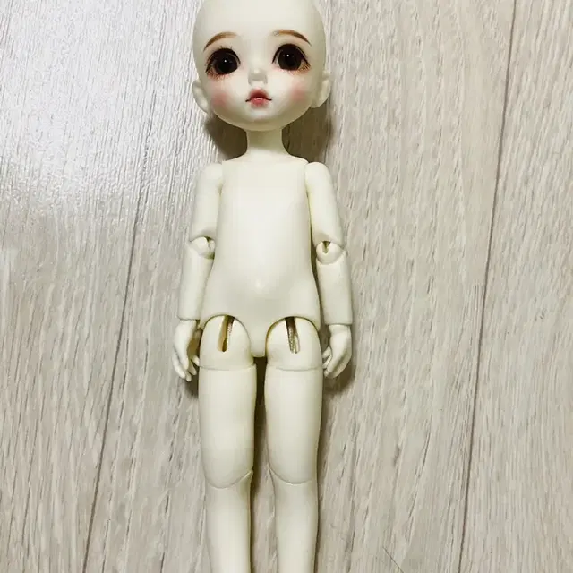 구체관절인형 도토리스 베베 지우 19cm 미백