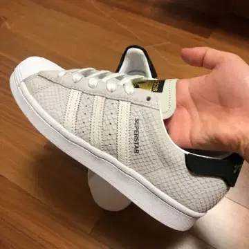 adidas Superstar | FV2822 | SPORTSHOWROOM