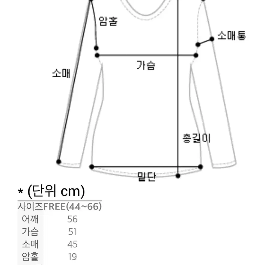 * 임블리 프릴 캉캉 블라우스