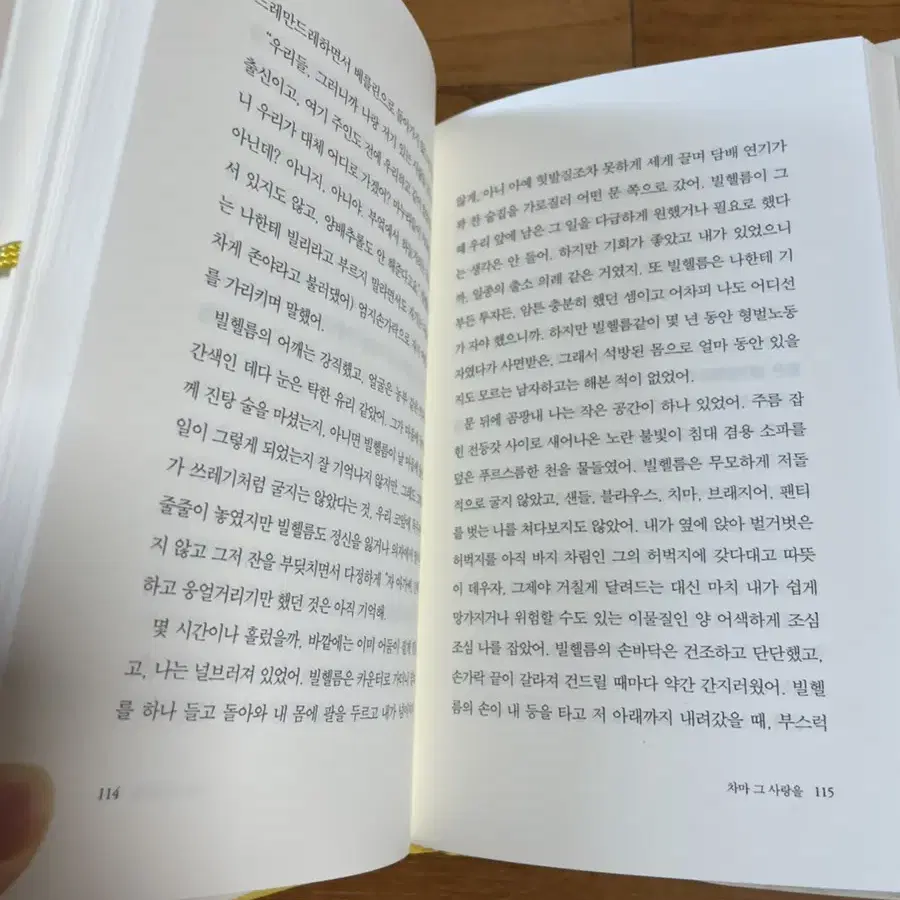 차마 그 사랑을