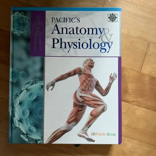 anatomy physiology(해부생리학)