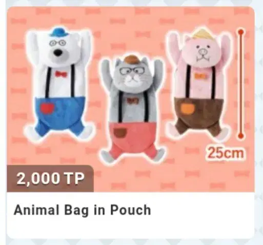 Bag in  Pouch