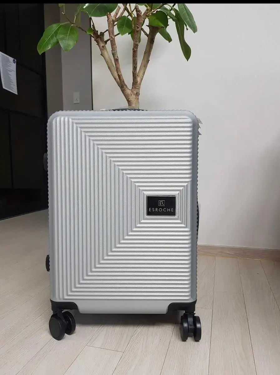 Esloche Expandable 21-inch Cabin Carrier