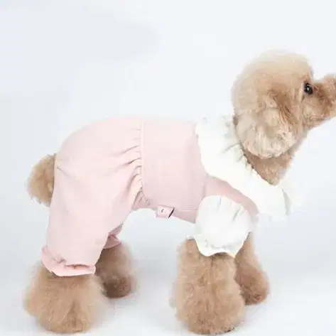 강아지 고양이 올인원 애견평상복 커플룩 애견옷 데일리룩