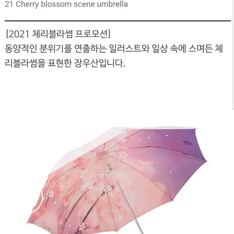 스타벅스블라썸 장우산. 스토조