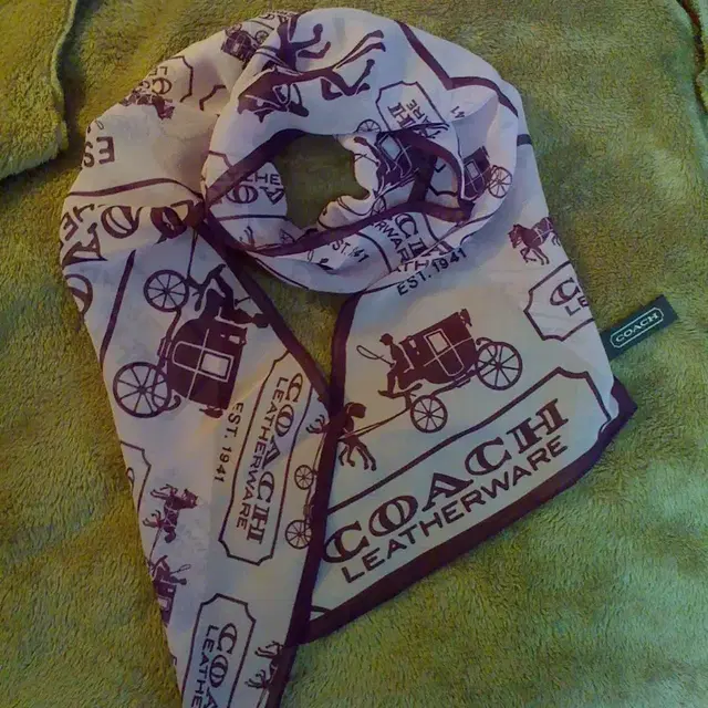 Coach scarf